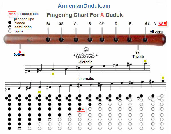 fingering%20chart%20for%20A%20duduk.jpg