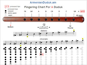 A Duduk-fingering chart